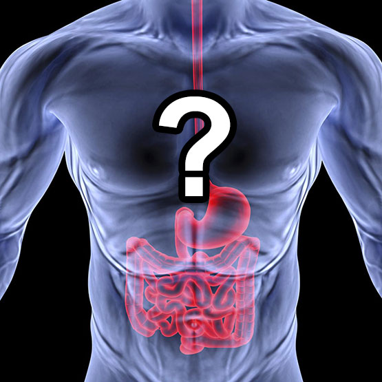 frequently asked questions for gastroenterology patients